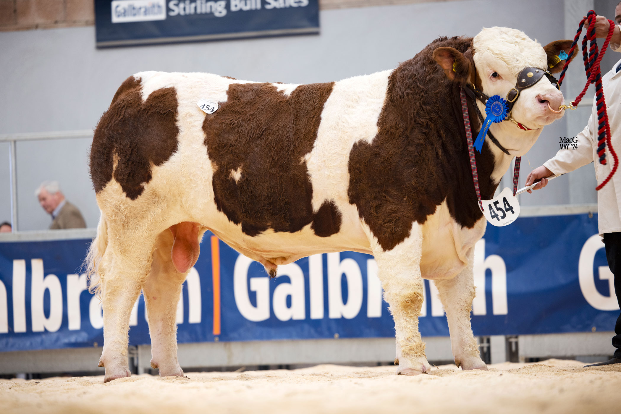 Gns Denizes New Orleans Leads All Breeds Trade At Stirling And