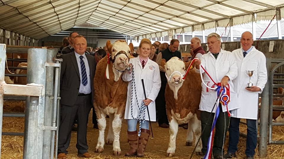 Worcester Sale 7th May 2016 – Show Results – Judge – Michael Barlow