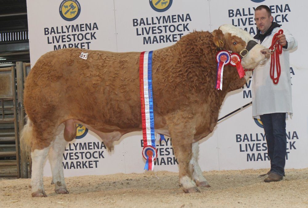 Ballymena Sale 8th May 2019