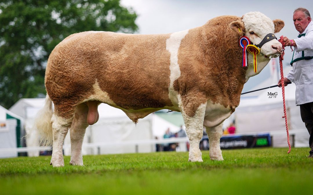 Great Yorkshire Show 9th-11th July 2019
