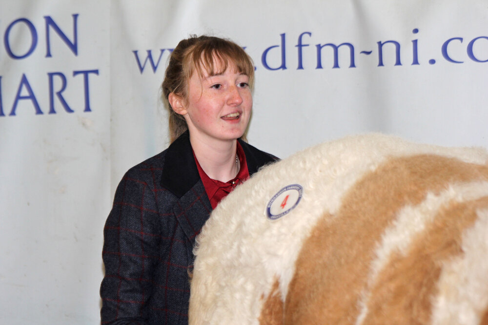 Maiden heifer tops Dungannon Simmental trade at 2,800gns  25th October 2019