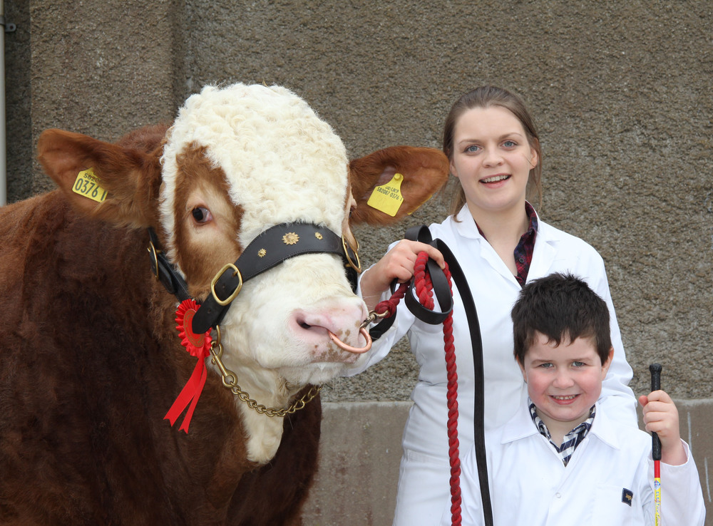 A delighted first-time exhibitor Jamie Bell, Aughnacloy, with his first prize winning bull Drumearn Flame. The bull was shown by Zara Stubbs.&nbsp;