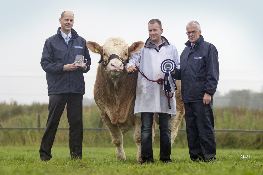 Danske Bank Simmental Male of the Year was Ranfurly Formula 1 exhibited by Jonny Hazelton, Dungannon. Adding their congratulations are Matthew Johnston, agri business manager, Enniskillen; and John Henning, head of agricultural relations, Danske Bank.    