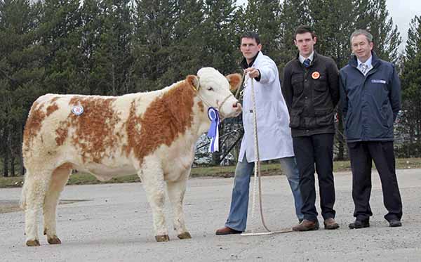 Reserve female champion was Conrad Fegan's Knockreagh Ella Rose which sold for 2,300gns. Included are judge Andrew Clarke, Tynan; and sponsor Andrew Tecey, Danske Bank.