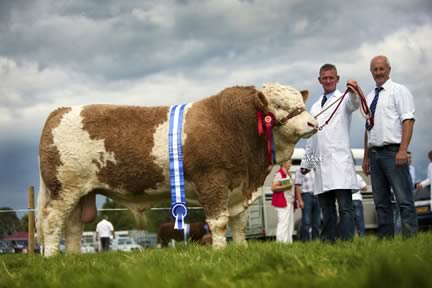 Alistair Shortt exhibited the male and reserve supreme champion Killynure Darwin, owned by Raymond and Joan Porter, Omagh. Included is club chairman Nigel Glasgow.