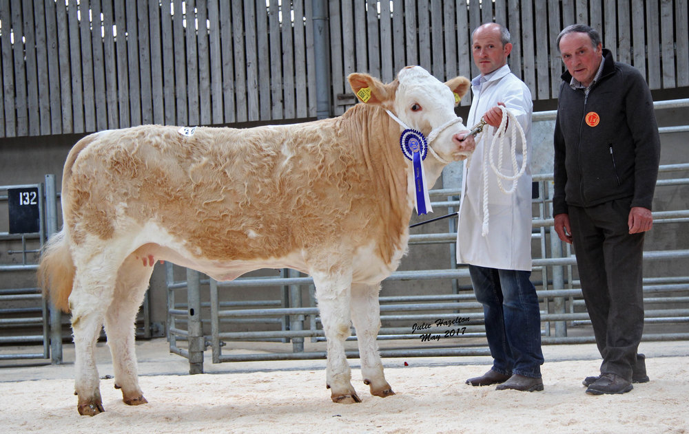 Reserve female champion was Ashland Lady Hannah shown by Frank Kelly, Tempo. Also pictured is judge Kenneth Stubbs, Irvinestown.