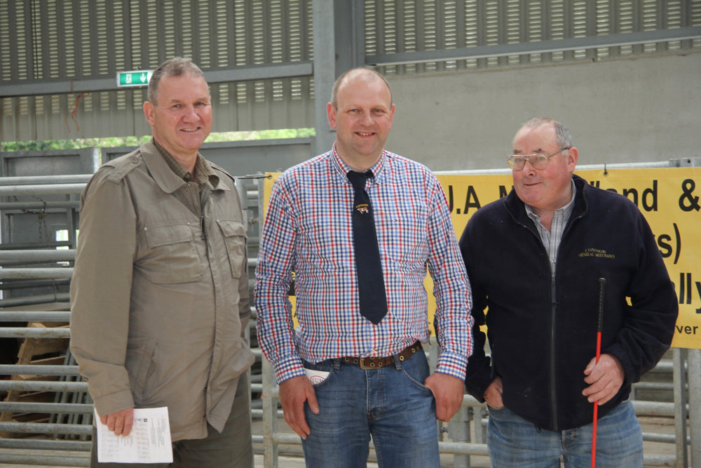 NI Simmental Cattle Breeders' Club chairman Matthew Cunning, centre, is pictured at the club's evening show and sale in Ballymena Mart with sponsors Mike Frazer, Edenvale Herd; and Jonny Connon from Connon's General Merchants.