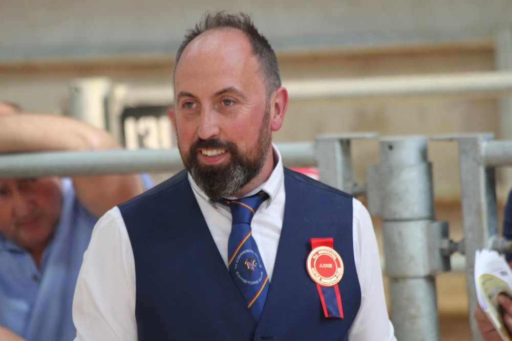 James Alexander from Randalstown judged the NI Simmental Club's evening show and sale in Ballymena Mart.