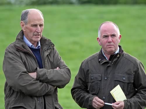 Sean Burns, Rathfriland, and Chris Traynor, Armagh, were among the competitors at the NI Simmental Club's annual stockjudging competition, held at Portglenone.