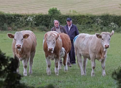 Kenneth Stubbs, Irvinestown, and David Hazelton, Dungannon, pictured at the NI Simmental Club's annual stockjudging competition, Portglenone.