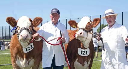 The Ballymena Show qualifiers for the Ivomec Super Simmental Pair of the Year competition were Ranfurly Weikel 6th and and Ranfurly Weikel 7th owned by David Hazelton, Dungannon, who was assisted by Jackson McCaw
