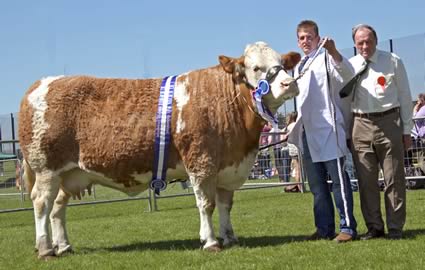 Bruces Hill Cattle Company won the reserve Simmental championship with Hockenhull Natalie 34th. Included is judge Kenneth Stubbs, Irvinestown.