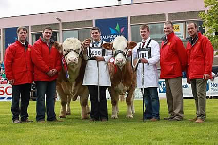 The team from the Bruces Hill Cattle Company, Templepatrick, pictured with their first prize winning pair of Simmentals at Balmoral Show.