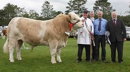 The Male of the Year 2011 was Ranfurly Barrister bred by David Hazelton, Dungannon. Pictured at the presentation are club vice-chairman, Nigel Glasgow, vice-chairman, with John Henning, head of agriculture, and Trevor Johnston, Northern Bank, sponsors.