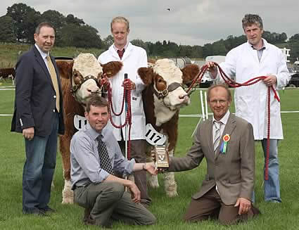 The 2011 Ivomec Super Simmental Pair of the Year were Omorga Bambi and Omorga Saffron 2nd owned by John Moore, Beragh, who was congratulated by judge, Keith Vickery. Looking on are Pat Kelly, club chairman, and handlers Moses Irwin and Gavin Aiken.