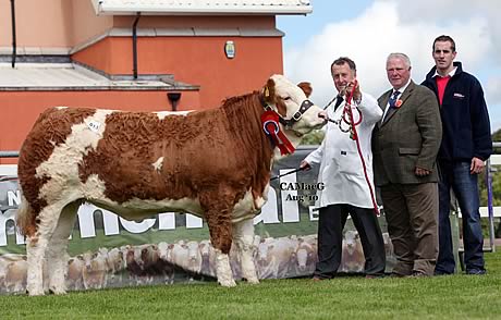 The supreme champion and 12,000gns sale topper was Cleenagh Avon bred by Adrian Richardson, Maguiresbridge. Adding their congratulations are Hector Macaskill, judge; and Ashley Crawford, Irwin Feeds, sponsor. Cleenagh Avon