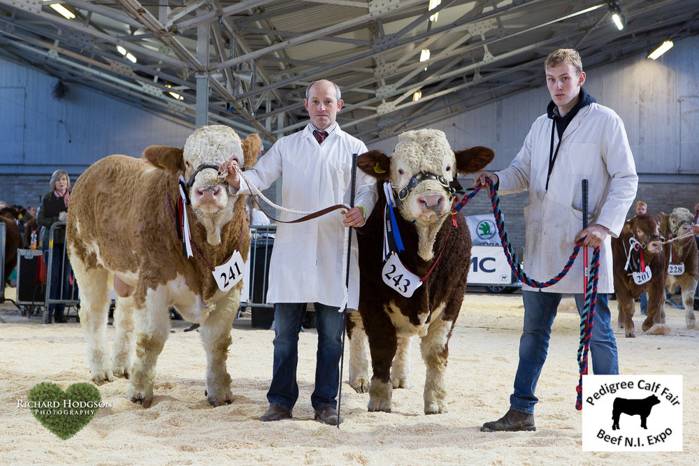 Junior Simmental champion was Ashland Humdinger exhibited by Frank Kelly, Tempo. The reserve junior champion was Drumlone Hotrod bred by Kenny Veitch, Lisbellaw.&nbsp;