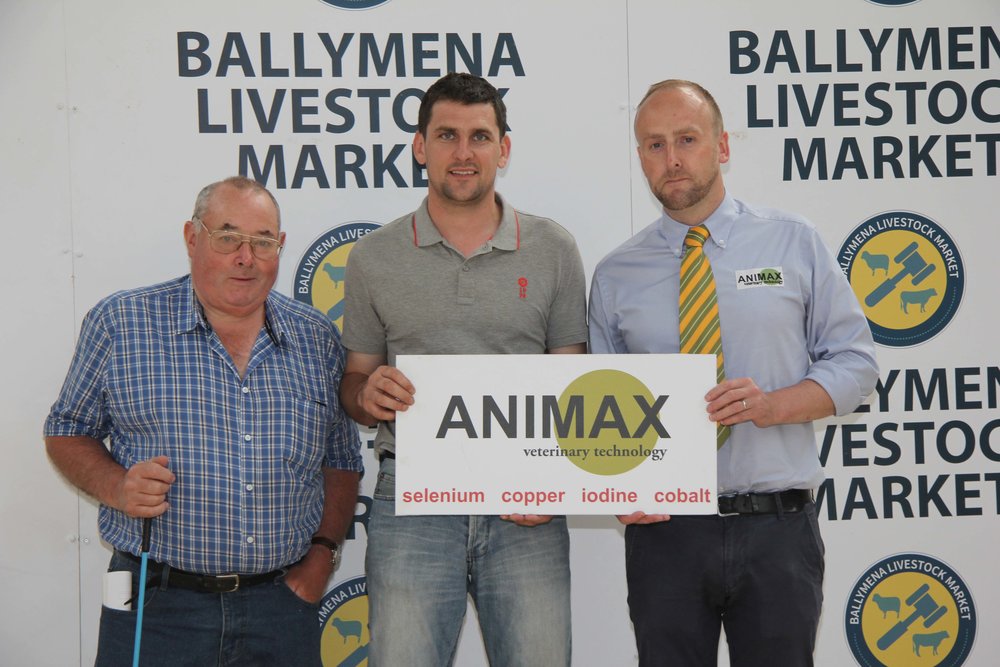 NI Simmental Cattle Breeders' Club chairman Conrad Fegan, centre, is pictured with sponsors of the evening show and salein Ballymena, John Connon, Connon General Merchants; and Neill Acheson, Animax.