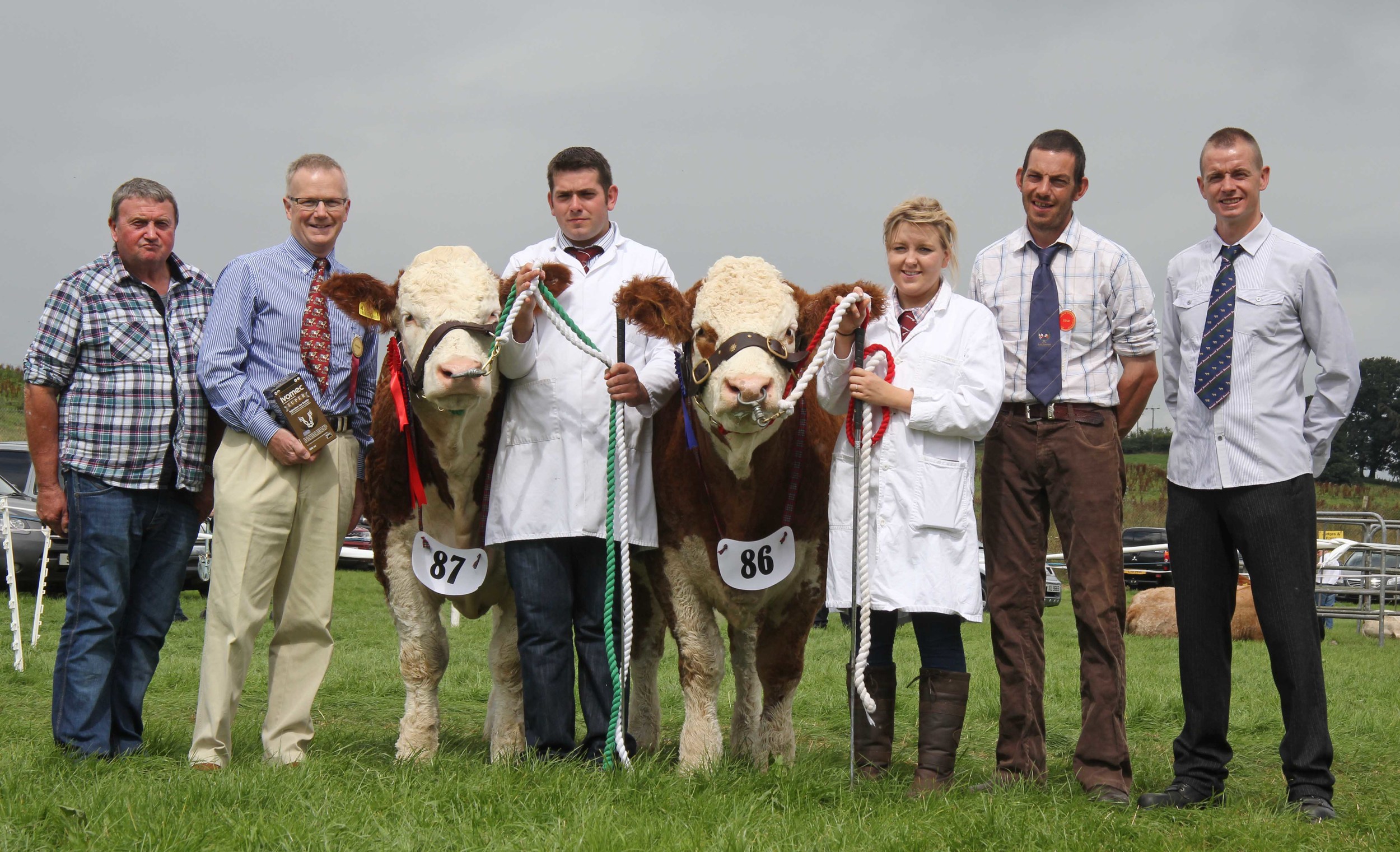 Ivomec Super Simmental Pair of the Year runners-up were Castlemount Bianca and Castlemount Modesty owned by Duncan McDowell, Newtownards, and shown by Richard McKeown and Fiona Sloan. Included are sponsor Philip Clarke, Merial Animal Health; judge Garrett Behan, Portlaoise; and NI Simmental Club chairman Richard Rodgers. 