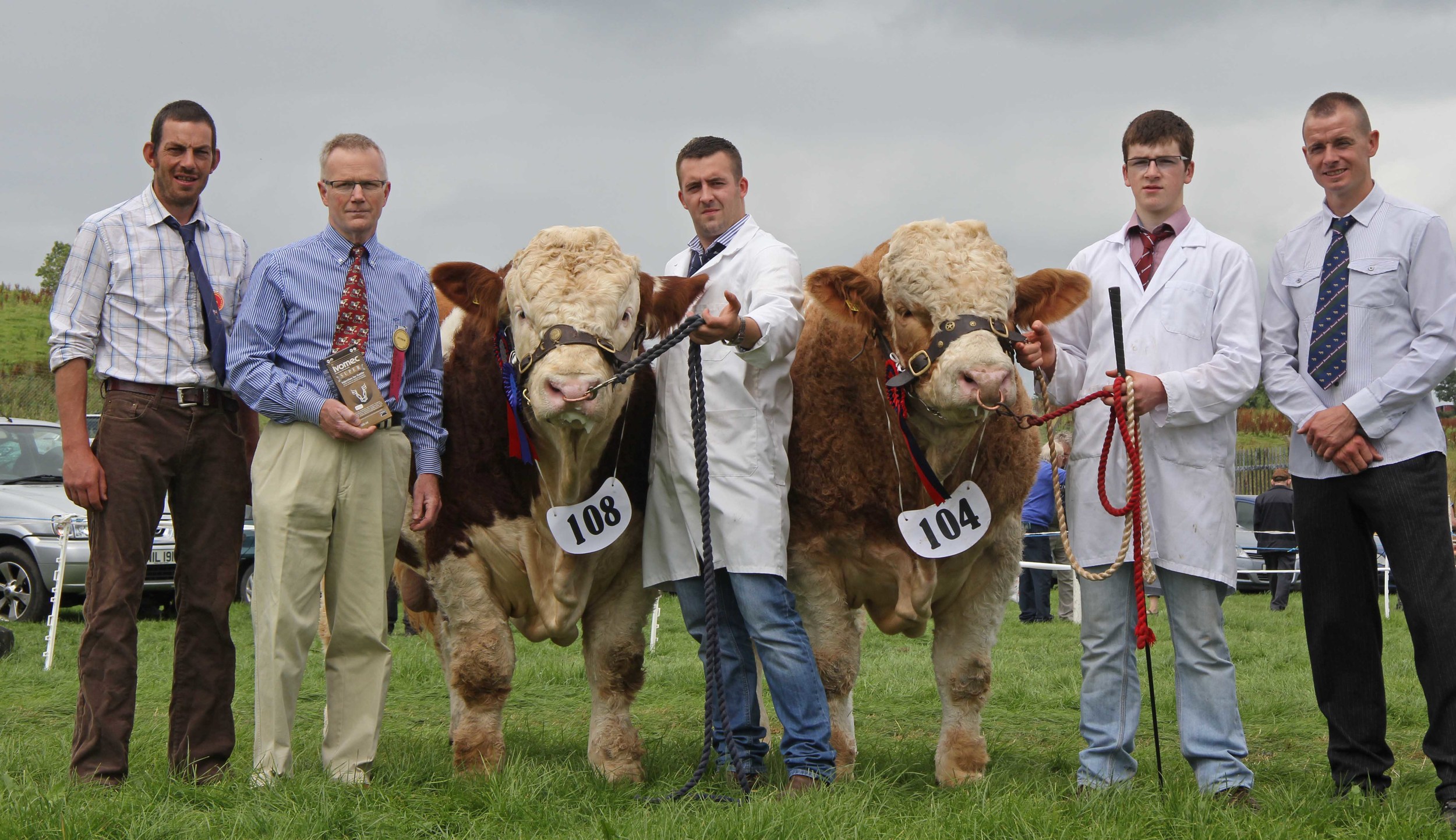 Ivomec Super Simmental Pair of the Year winners were Slievenagh Emperor and Slievenagh Extra Special shown by Christopher and Jamie Boyd, Portglenone. Included are judge Garrett Behan, Portlaoise; Philip Clarke, Merial Animal Health, sponsor; and Richard Rodgers, chairman, NI Simmental Club. 