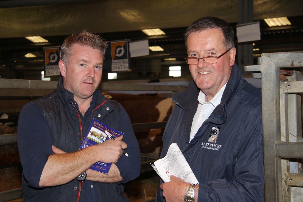 Barry Chambers, Portadown, chats to British Simmental Cattle Society vice president Robin Boyd, Portglenone, at the 2nd production sale from the Ballinalare Farm and Ranfurly herds.&nbsp;