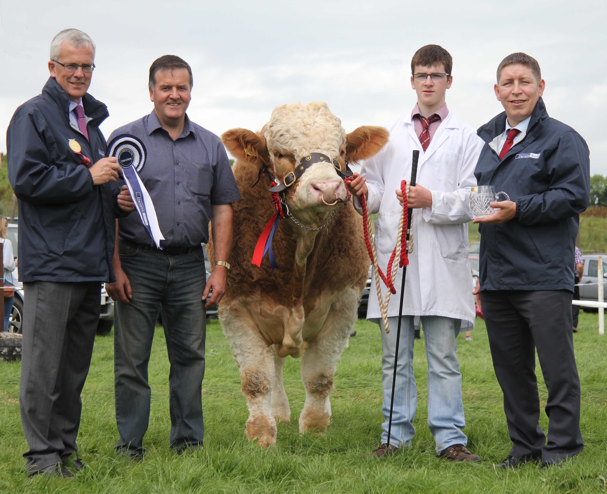 The Danske Bank Simmental Male of the Year award was won by Slievenagh Emperor bred by Robin Boyd, Portglenone, and shown by son Jamie. Making the presentation are sponsors John Henning and Rodney Brown, Danske Bank. 