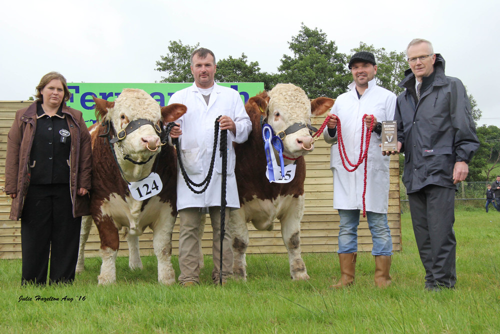 Alan and Neil Wilson, Newry, exhibited the reserve Ivomec Super Simmental Pair of the Year winners Ballinlare Farm Goldenballs and Ballinlare Farm Galaxy. They were congratulated by judge Bridget Borlase, Hertfordshire, judge; and sponsor Philip Clarke, Merial Animal Health.