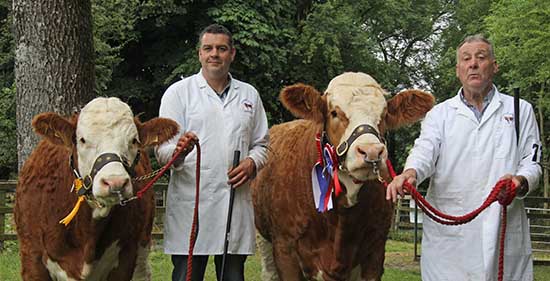 Clogher: Qualifiers were Drumacritten Dianna and Scribby Farms Daisy shown by Keith and William Nelson, Rosslea. 