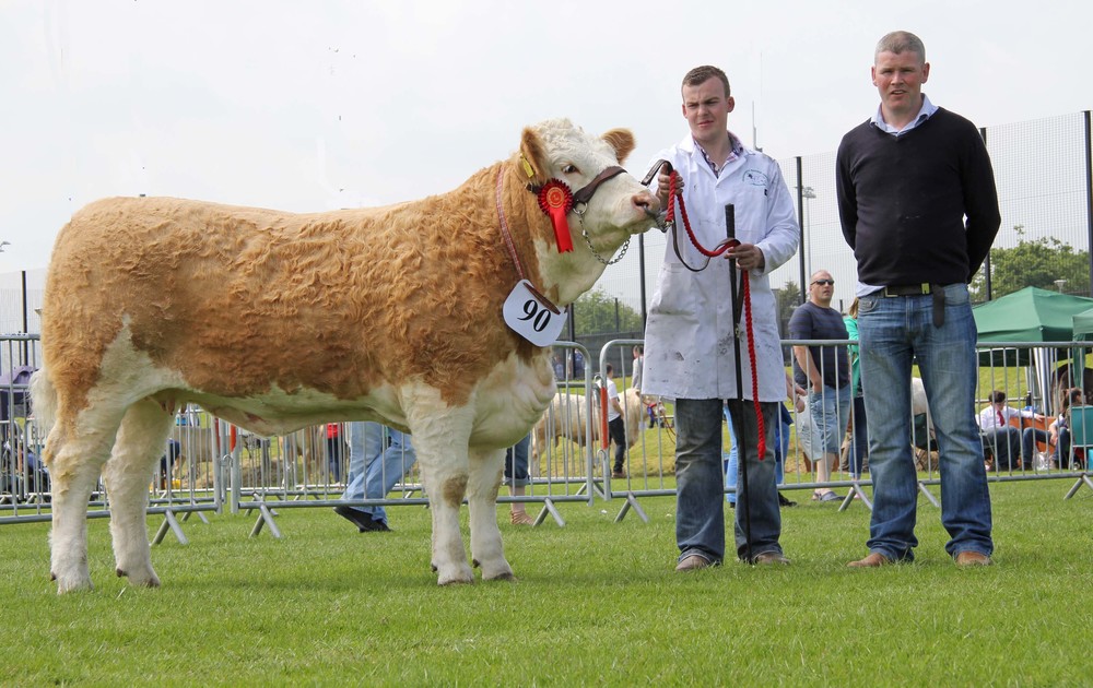 Anthony McGuinness exhibited Cleenagh Good Girl, winner of the Woodcraft Kitchens (Kiilrea) junior heifer derby at Ballymena Show. He was congratulated by sponsor Eamon McCloskey.&nbsp;
