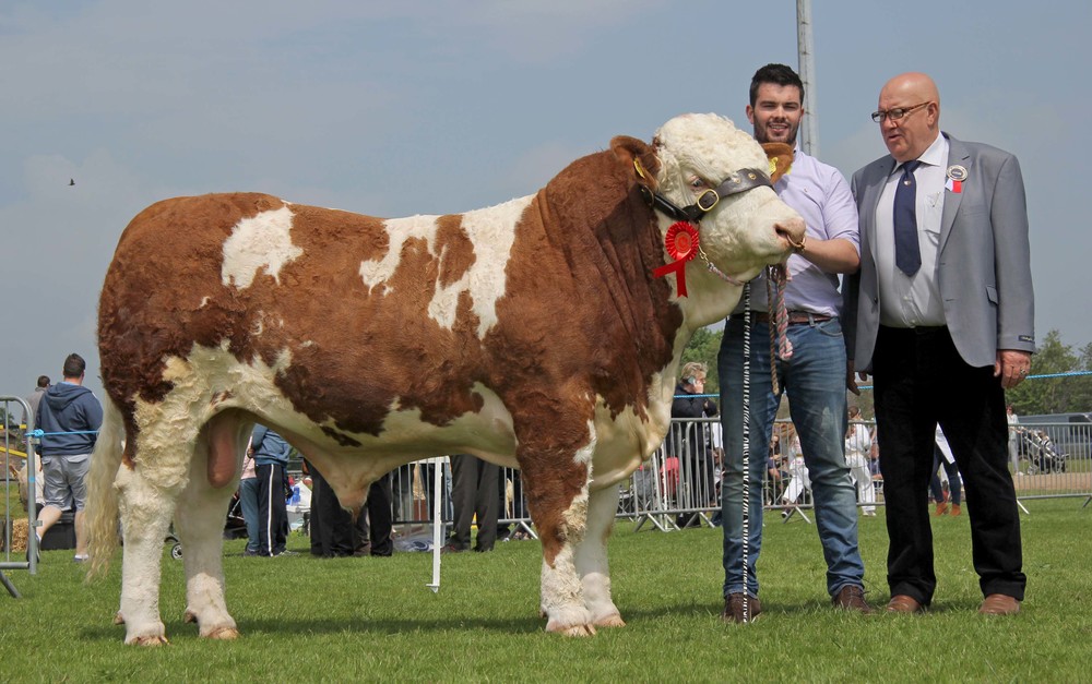 Peter Hughes exhibited the male champion Kilmore Gus bred by Chris Traynor, Armagh. Included is judge Tony O'Leary.