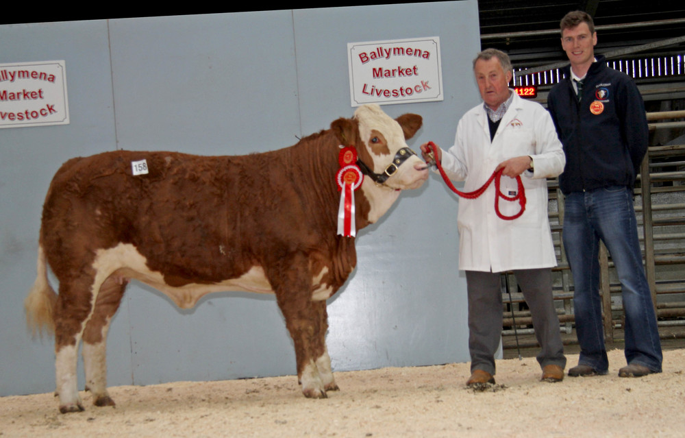 Female Champion was Cleenagh Gem sold for 2,700gns by Adrian Richardson, Maguiresbridge. Included is judge Paul McDonald, Tempo.&nbsp;