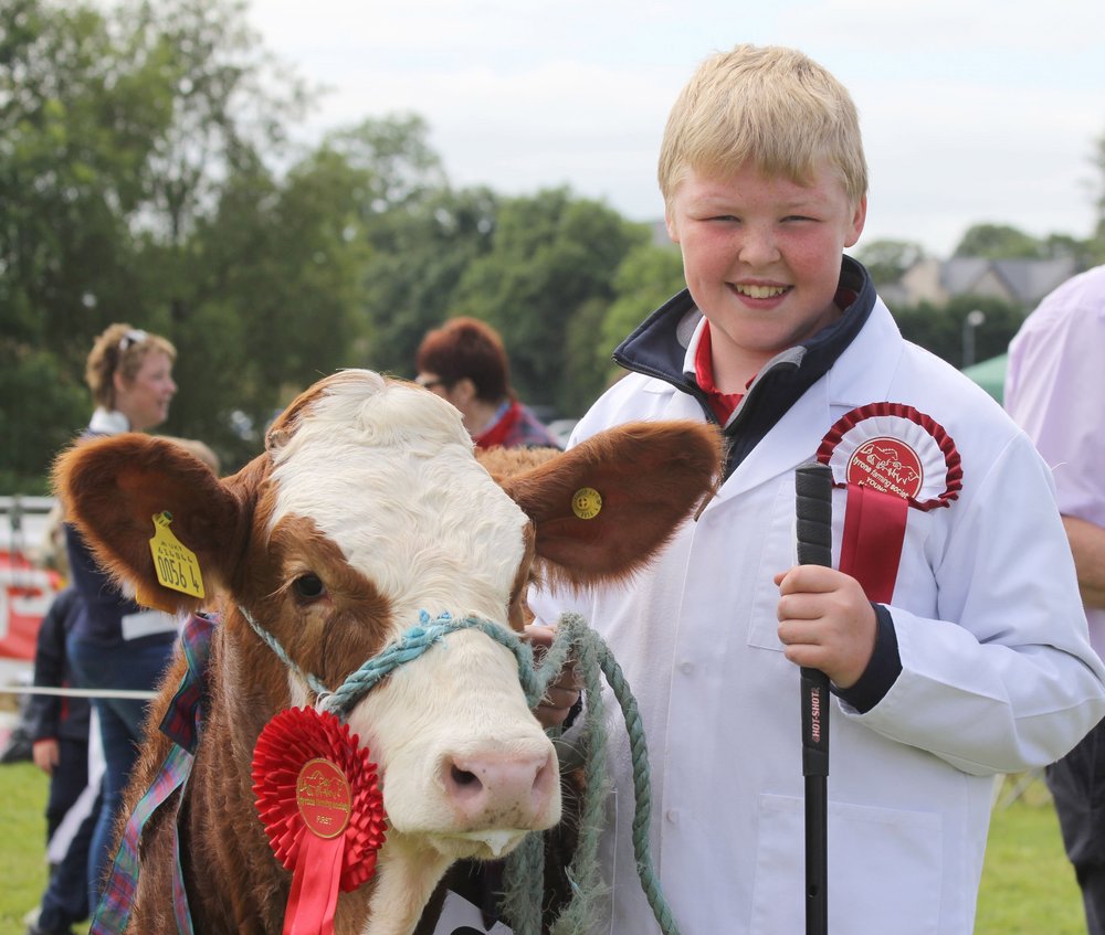 Thomas McAllister, Dungannon, was the winner of the junior young handlers class at the NI National Simmental Show.
