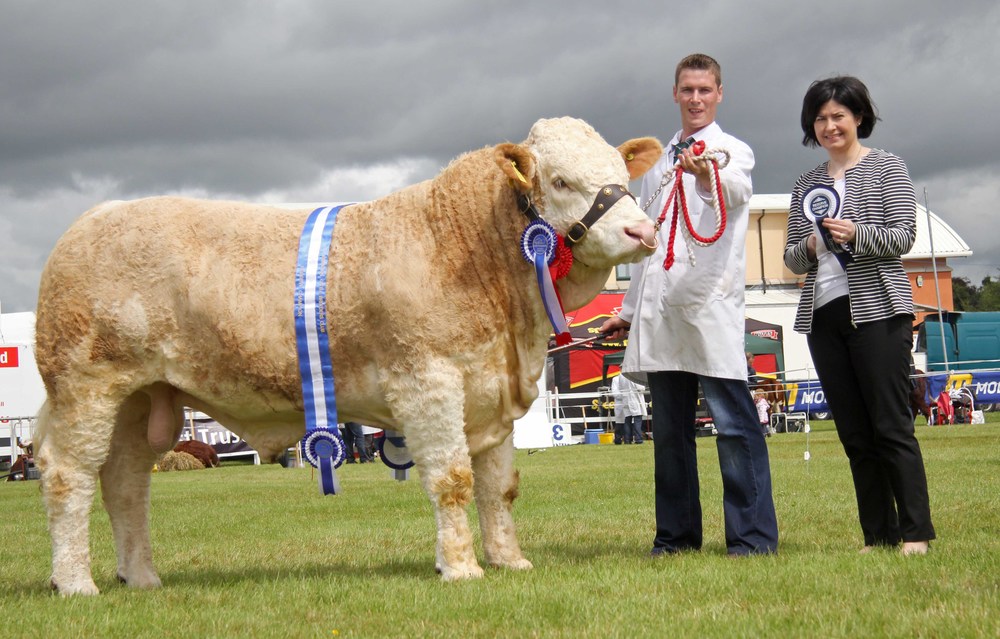  Paul McDonald, Tempo, exhibited the male and reserve supreme Simmental champion Coolcran Fiesta. Adding her congratulations is Ann McCrory, Danske Bank, sponsor 
