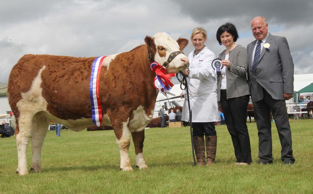  The female and supreme overall Simmental champion at Omagh Show was Scribby Farms Exquisiter shown by Andrea Nelson, Rosslea. Included are Ann McCrory, Danske Bank, sponsor; and judge Harold Stubbs, Lisnaskea. 