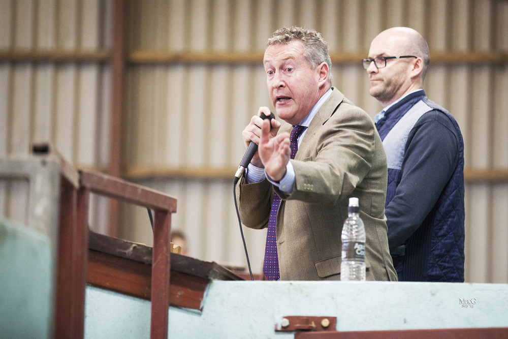  Auctioneer Michael Taaffe, and clerk Brian Taaffe, in the rostrum at the 45th Anniversary elite female show and sale, Moira. 
