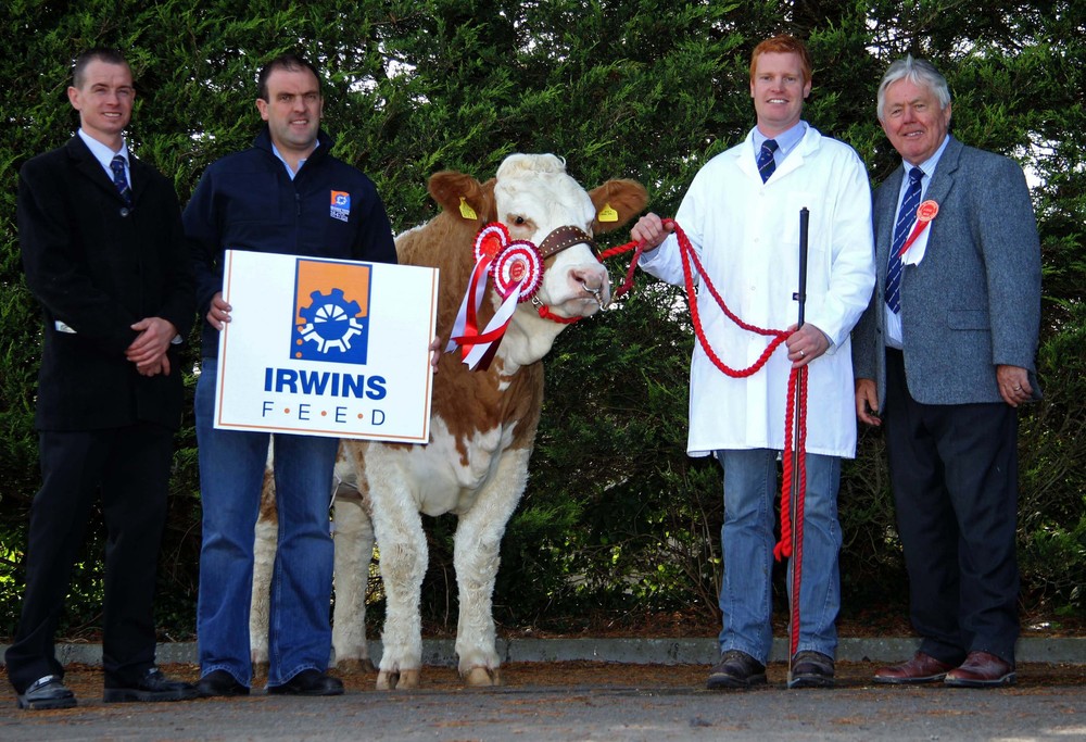  Supreme champion was Lisglass Emerald exhibited by Christopher Weatherup. From left: club chairman Richard Rodgers; Ian Cummins, Irwins Feed sponsor; and judge David Donnelly. 