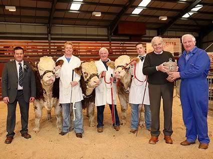Kilbride Farm Perpetual Trophy fot the Best Three Bulls bred by Exhibitor won by Cecil McIlwaine and presented by Billy Robson OBE - also pictures Robin Boyd Judge