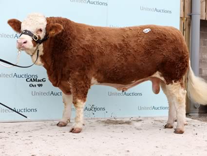 Andrew and Yvonne Leedham secured a personal best price of 11,000 gns for Grangewood William.