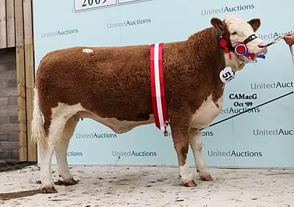 The In-calf Corskie Valerie lifted the female championship for Messrs. W. J. and J. Green, Fochabers, Morayshire.