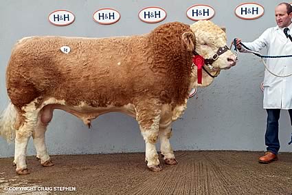 Top price and Reserve Supreme Ascote Auctioneer