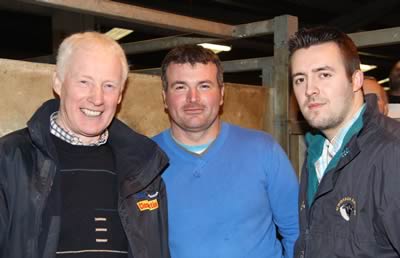 Pictured at the NI Simmental Cattle Breeders' Club show and sale, Dungannon, are from left: Leslie Weatherup, Ballyclare; Alan Wilson, Newry; and Christopher Boyd, Portglenone.