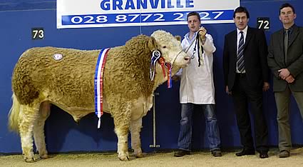 Corrick Santa Supreme and Male Champion – Cecil McIlwaine – Born December 2005 – Sired by Omorga Prince – Sold for top price of 3400 gns.