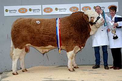 CHESTERMANN SIEGFRIED, MALE & SUPREME CHAMPION, bred by N & N Gwynne. Purchased by Messrs McDowall & Co (Newton Stewart) for 2,000 gns.
