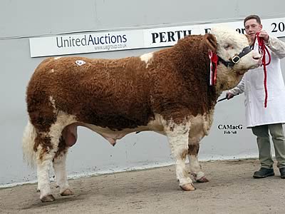 Lot 967 Junior Chmapion Annick Talisker Bred & exhibited by Mr L D Quarm and purchased by Mr Hector Macaskill for 20,000 Gns