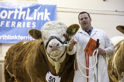 Aberdeen and Northern Marts show and sale 26th February 2020 – Sale report