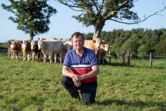 SIMMENTAL THE BREED ‘FIT TO FACE THE FUTURE’ AT MANOR FARM, PENRITH, CUMBRIA