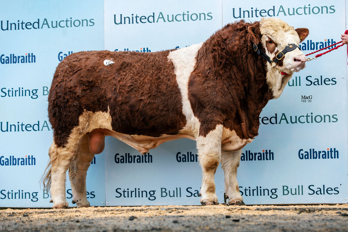 Manor Park John sold for 8,000gns