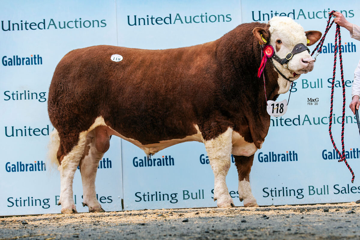 Finlarg Jaguar - sold for 10,000gns