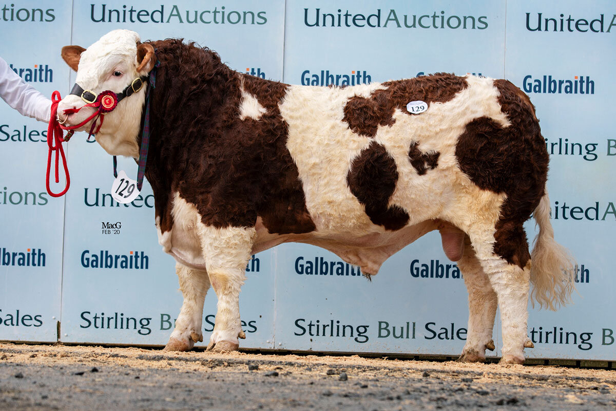 Ranfurly Jackpot sold for 9,000gns