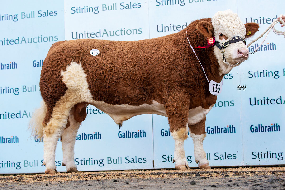 Blackford Jumbo sold for 8,000gns